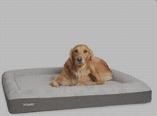 Review de cama ortopedica perro impermeable