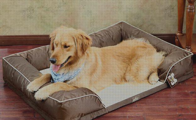 Las mejores ortopedicos camas cama ortopedica perro pequeño
