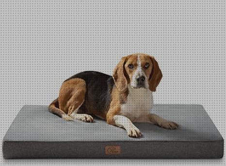 Las mejores cama perro desenfundable ortopedica