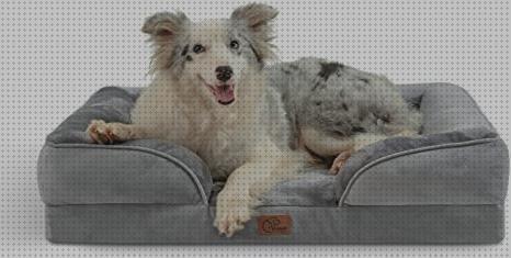 Las 19 Mejores Camas Para Perros Desenfundable Ortopedicas