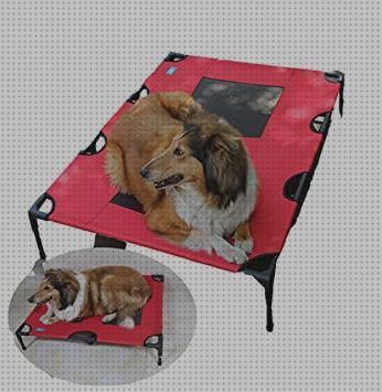 Análisis de las 12 mejores Camas Para Perros Elevable Ortopédica Jaulas