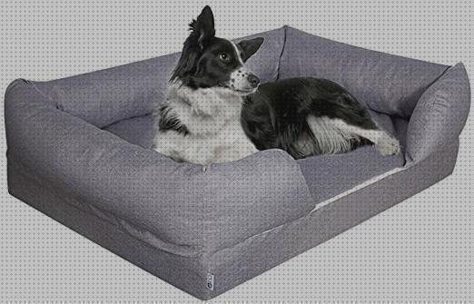 Review de camas ortopedica perro gigante