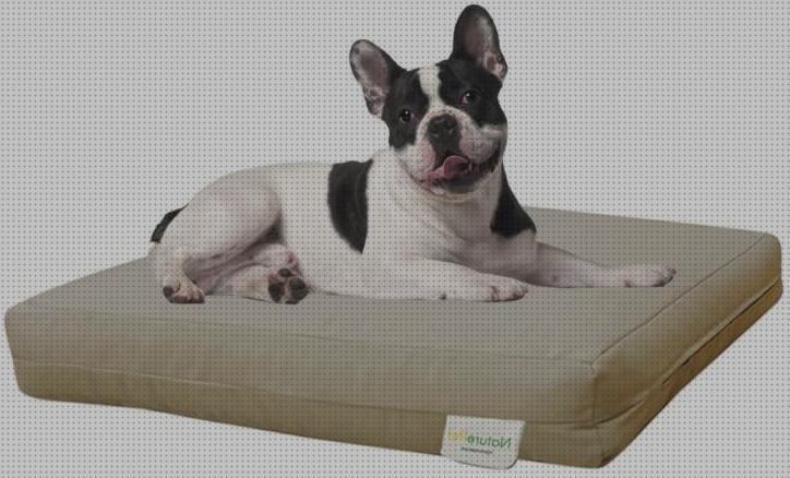 Review de camas ortopedicas lo natural