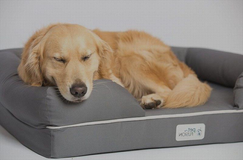 Las mejores perros camas camas ortopedicas para perros mini