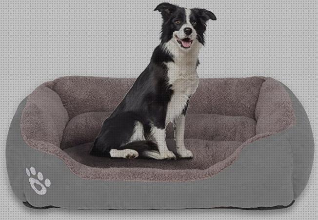 ¿Dónde poder comprar perros camas camas ortopedicas perros grandes y calurosos?