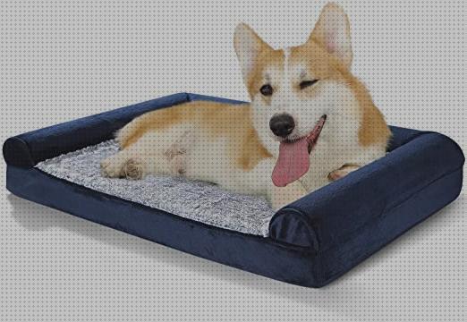 Las mejores marcas de ortopedicos camas cama ortopedica perro impermeable