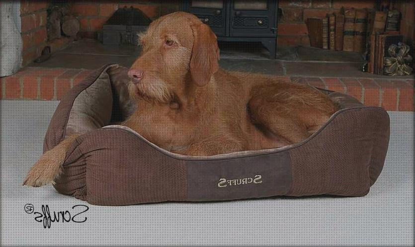 Las mejores perros camas camas ortopedicas perros mayores