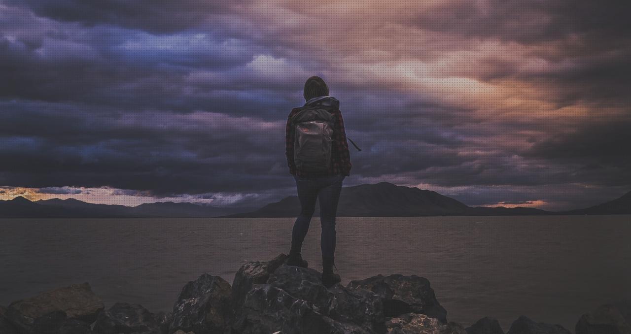 26 Mejores caminador adultos bajo análisis
