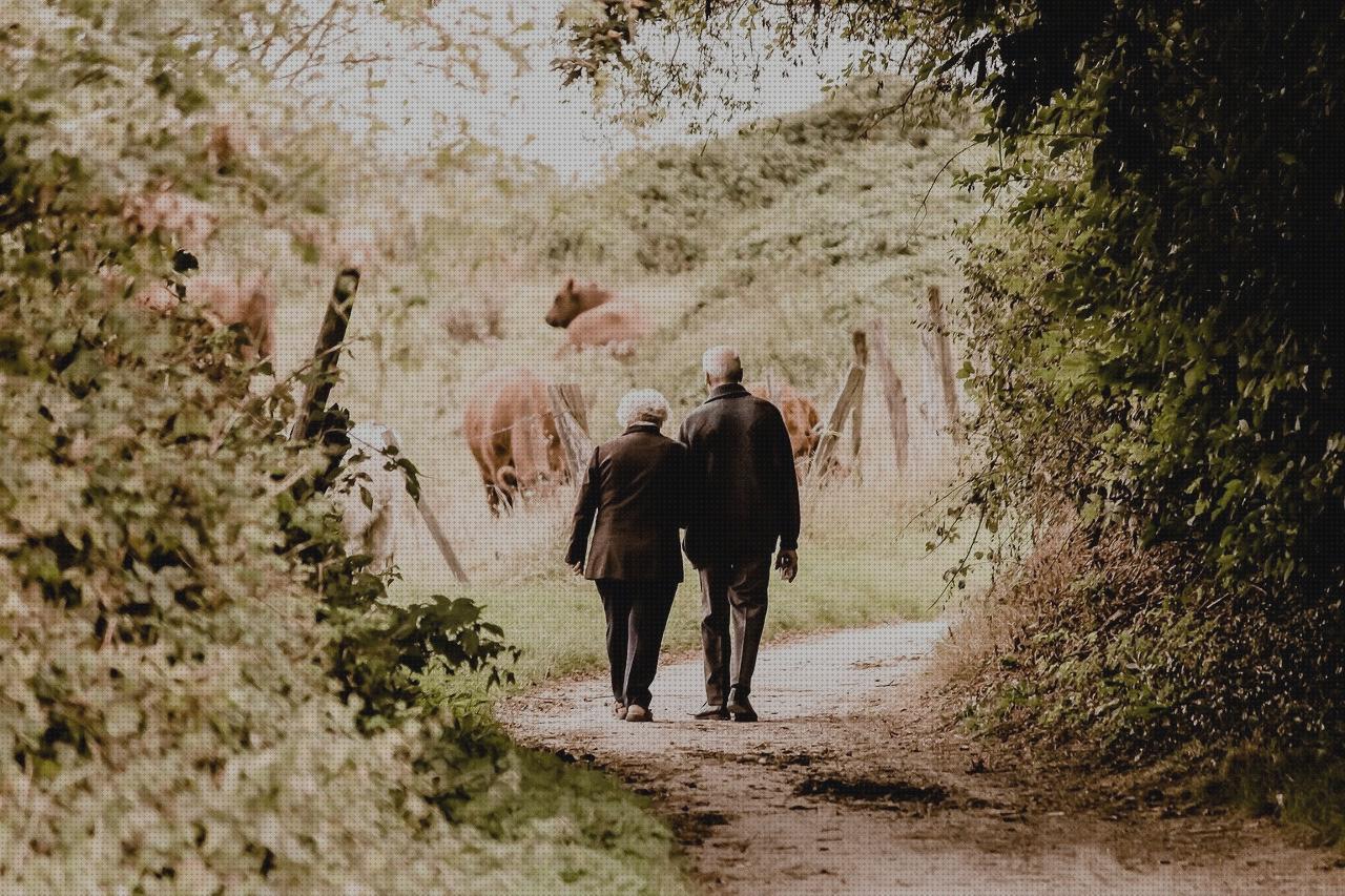 Mejores 29 caminador ancianos