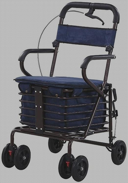 Las mejores carritos carrito andador electrico pequeño