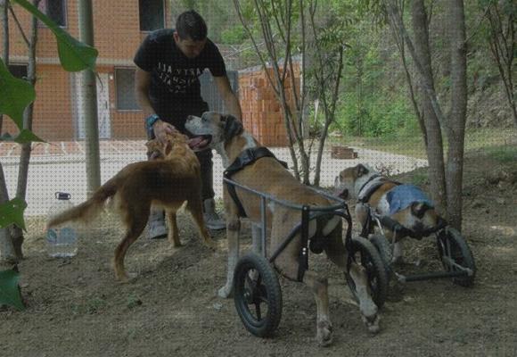 Las mejores carritos ortopédicos de dos ruedas