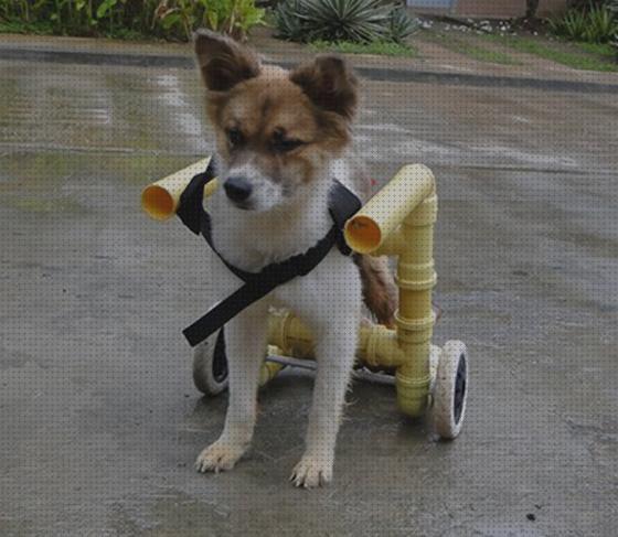 Las mejores perros ortopedicos carritos ortopedicos para perros grandes