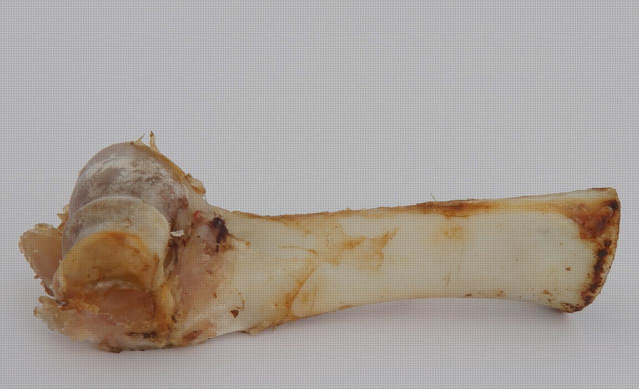 Las mejores marcas de cartilago de la rotula cabestrillo velour amputacion supramaleolar cartilago tiburon