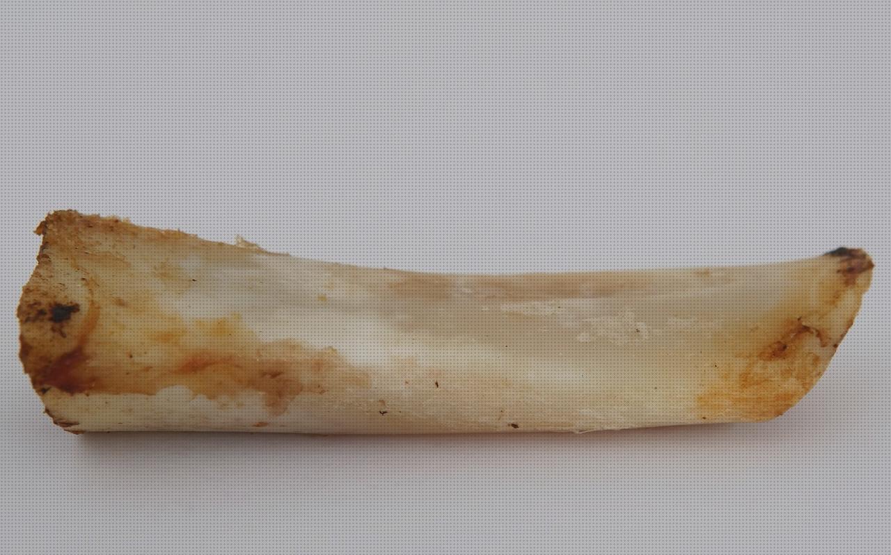 Las mejores cartilago de la rotula cabestrillo velour amputacion supramaleolar cartilago tiburon