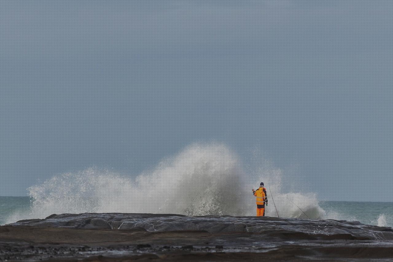 Las mejores andador active melatonina capsulas 5 mg colageno hidrolizado capsulas chaleco active posture