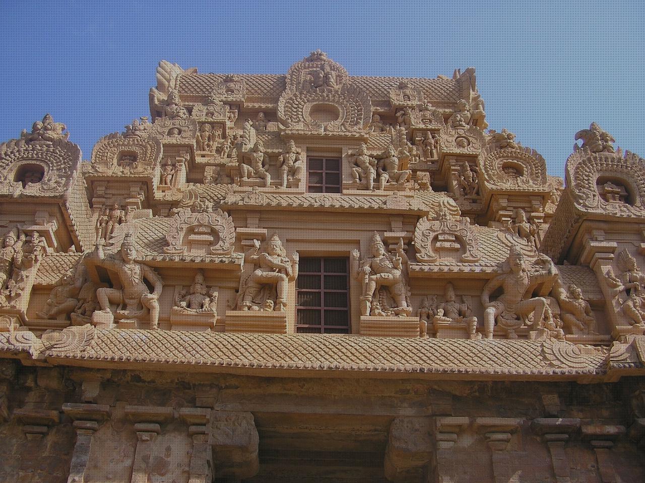 Las mejores marcas de zapatillas de levantar ortopédicas colchoin ortopédico freedog rojo colchon ortopédico freedog rojo cholas de levantar ortopédicas