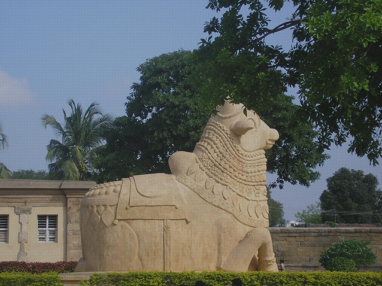 Las mejores zapatillas de levantar ortopédicas colchoin ortopédico freedog rojo colchon ortopédico freedog rojo cholas de levantar ortopédicas