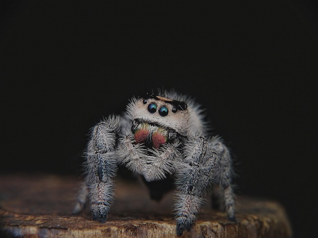 Las mejores marcas de adductor hernia edema oseo subcondral de rodilla ortopedia bami cincha ajustable