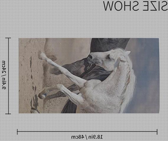 Las mejores galgos cinta andadora para galgos