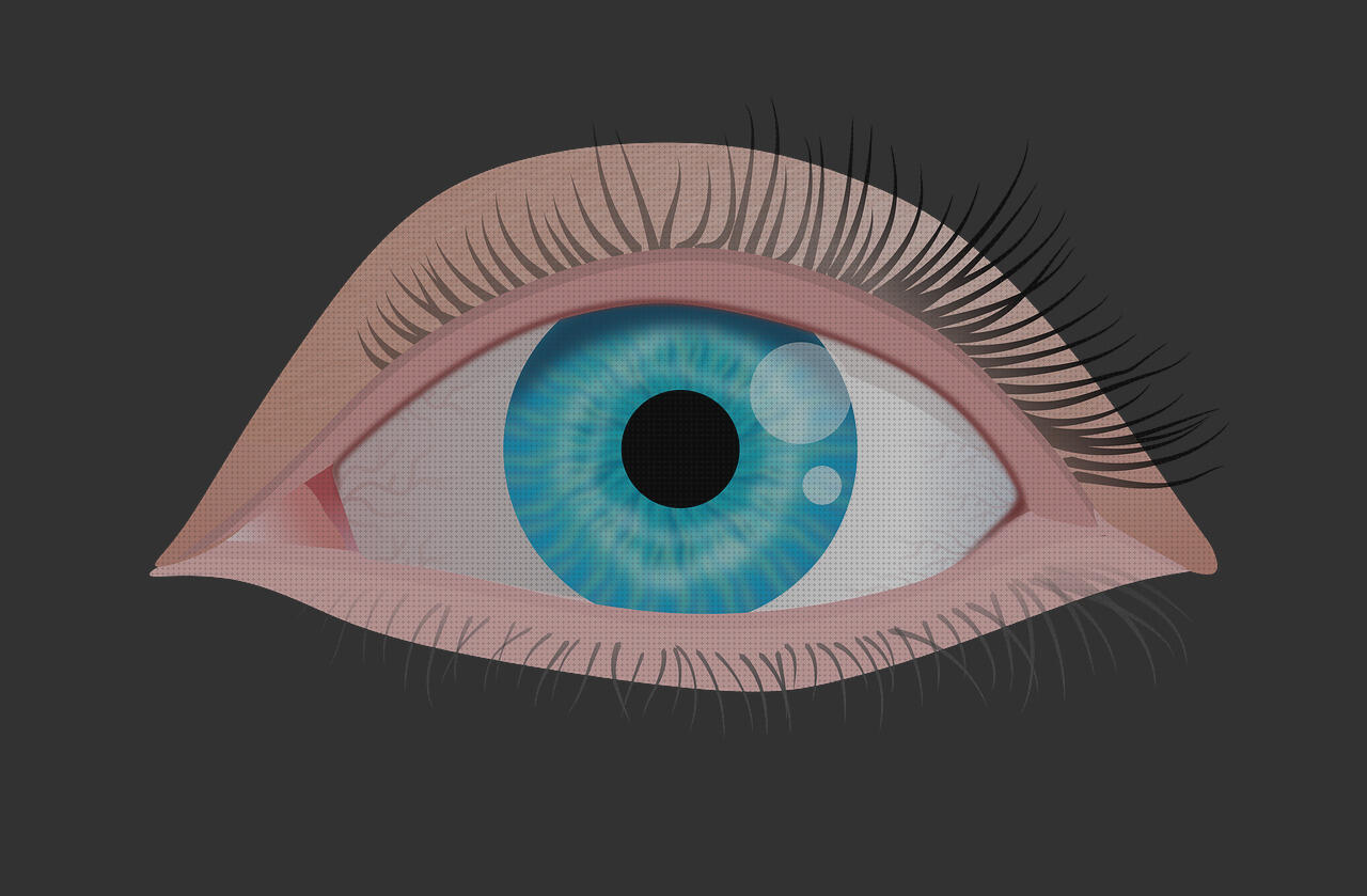 Las mejores marcas de residencia fortuny albors vaso de disfagia cabestrillo velour clear vision