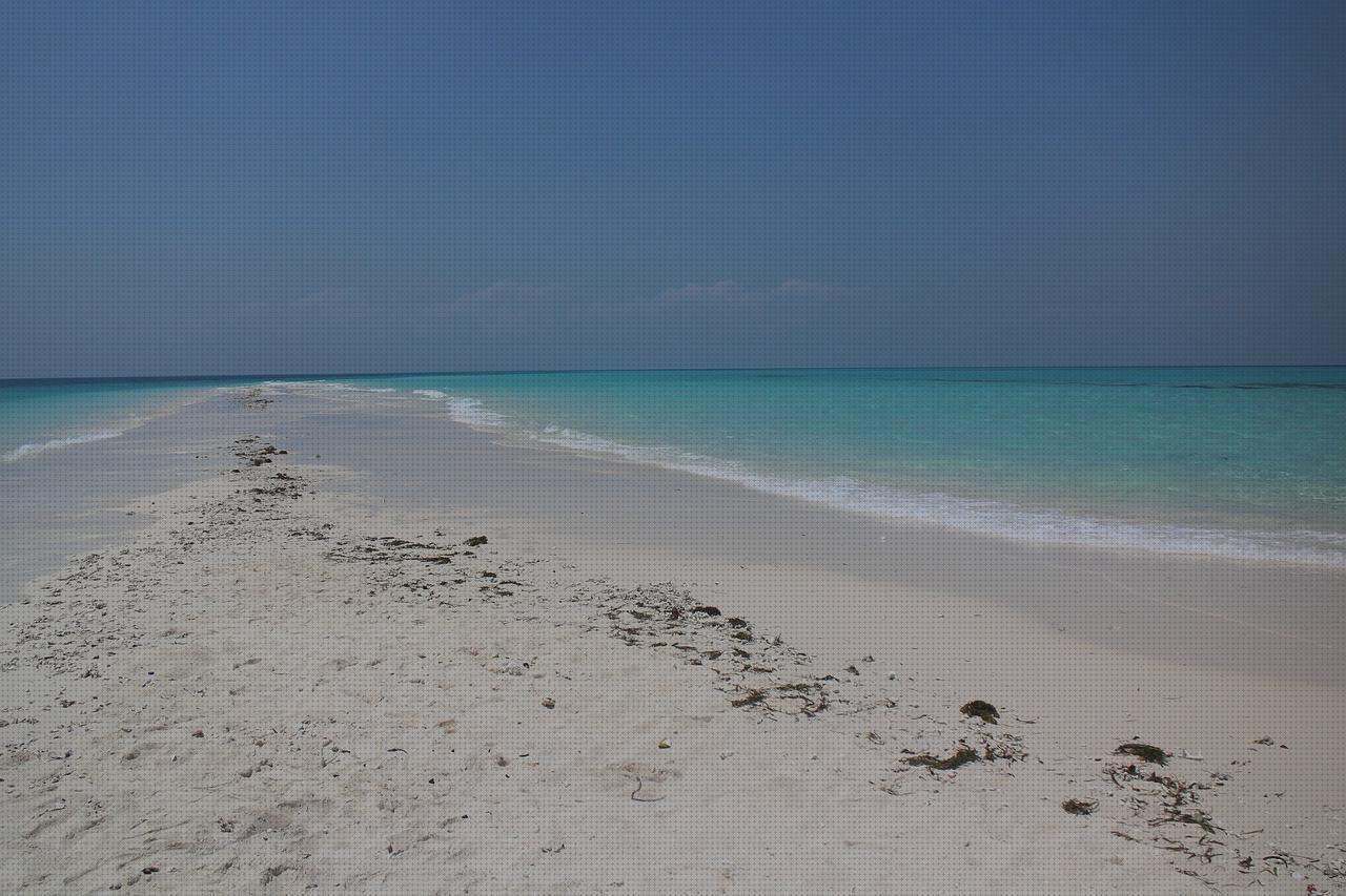 Las mejores residencia fortuny albors vaso de disfagia cabestrillo velour clear vision