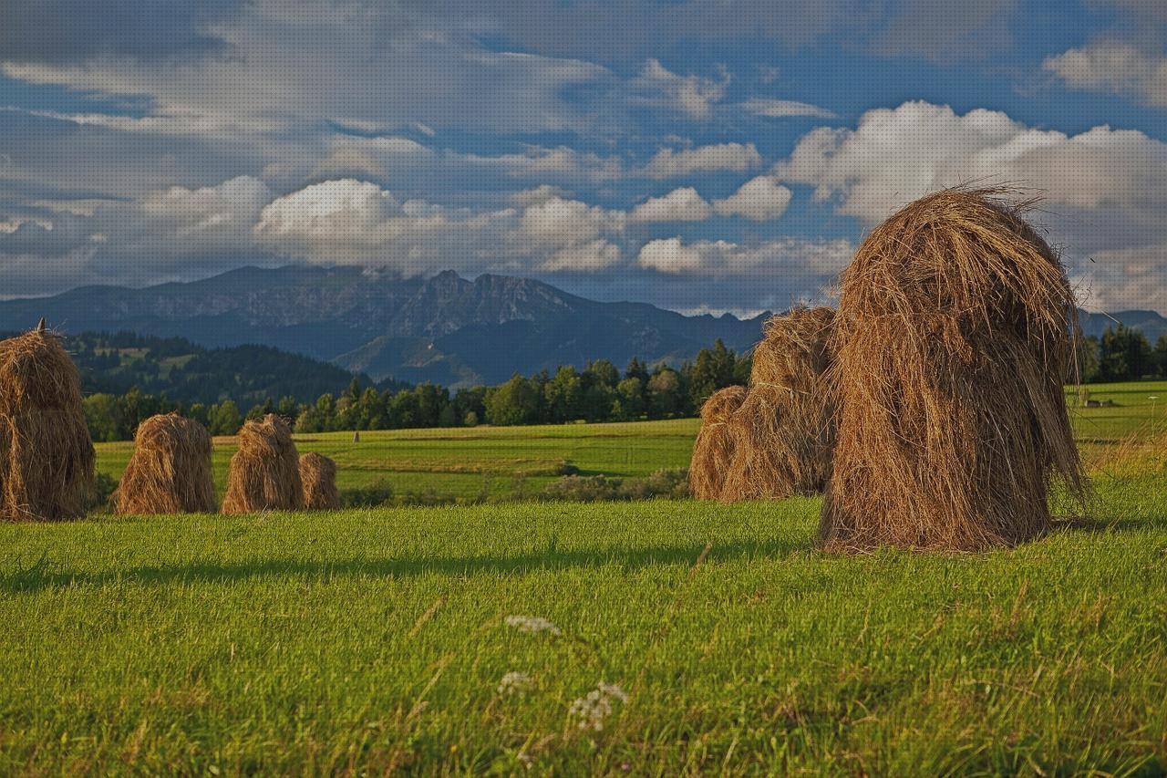 Review de clear vision