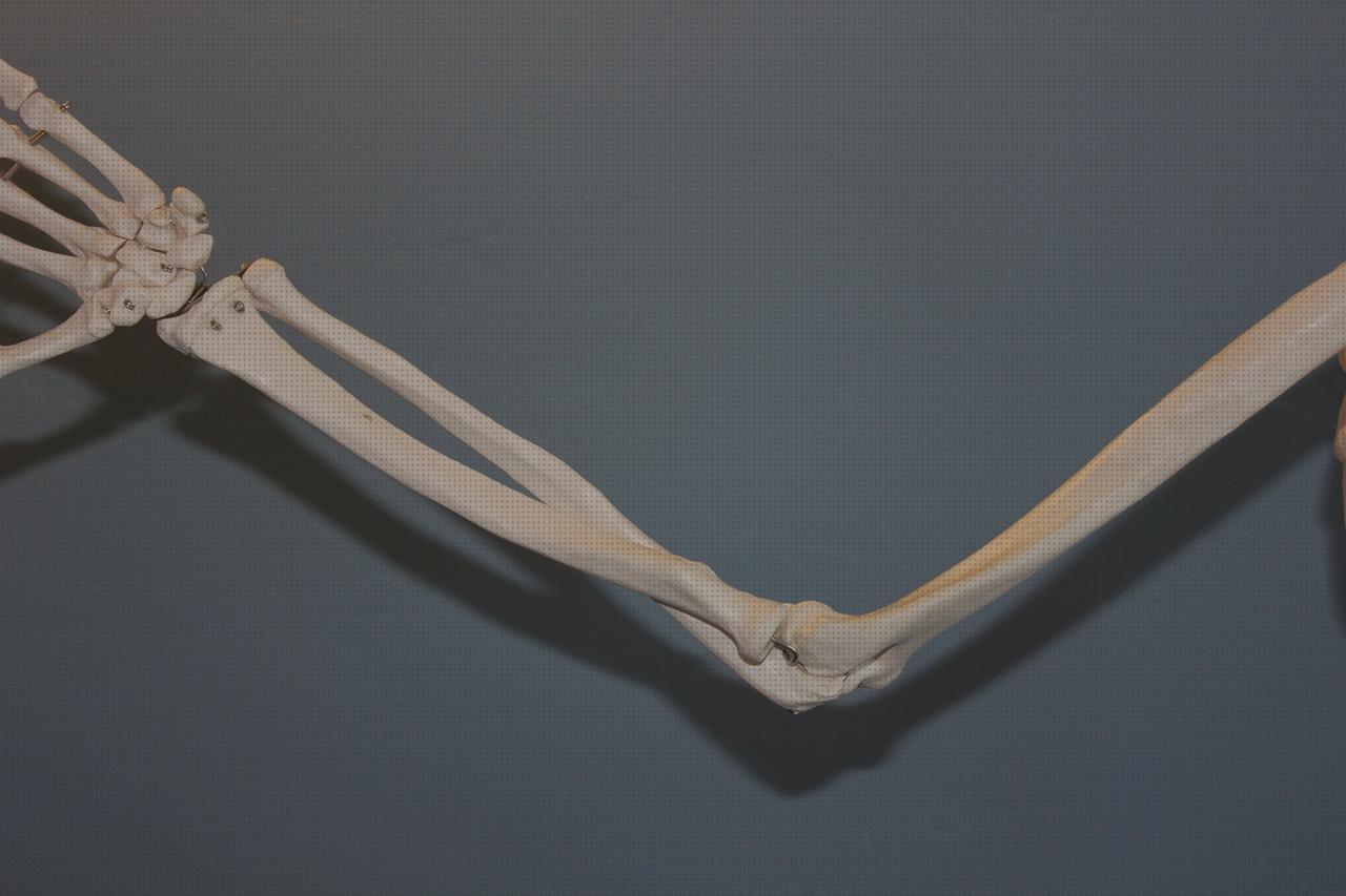 Las mejores ortopedia bami columna cervical rectificada kons bambas ortopédicas codo de baño