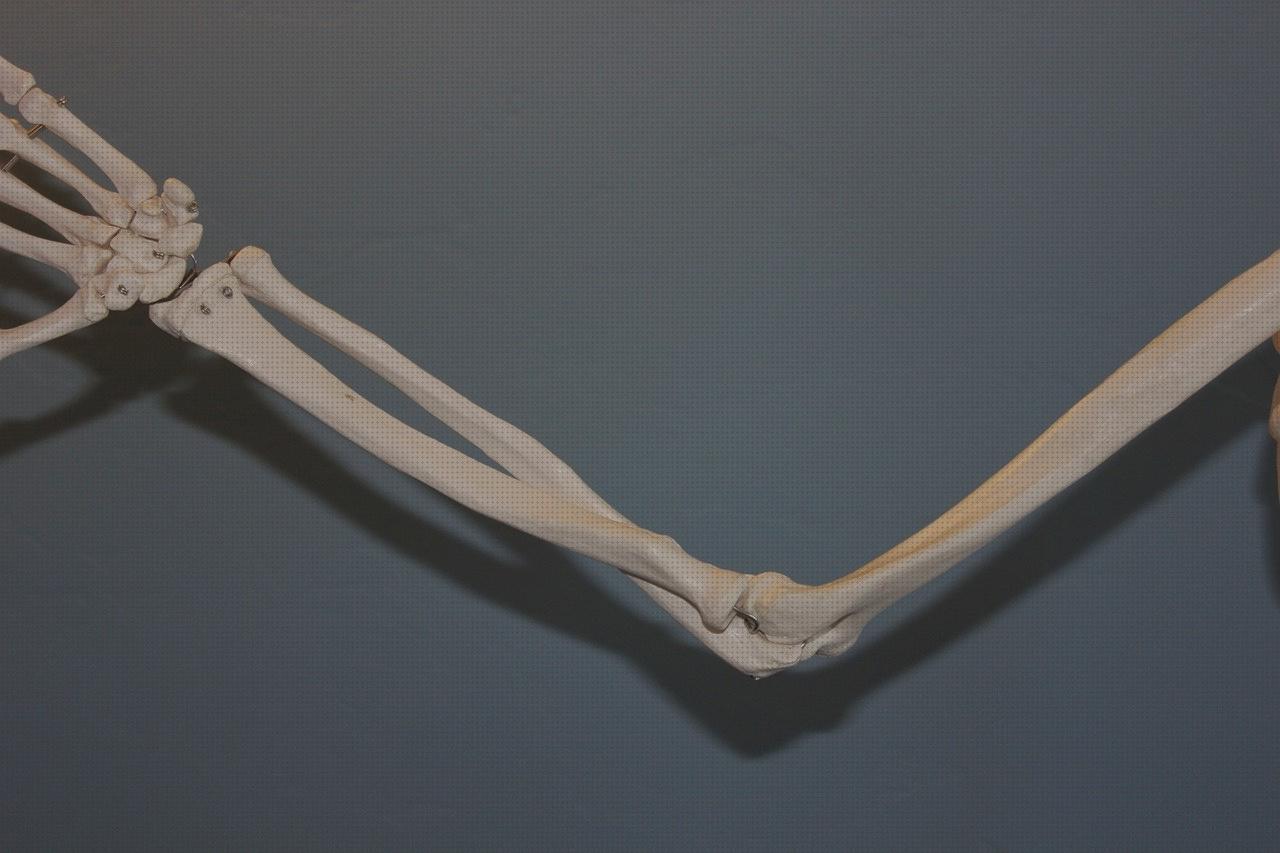 Las mejores codo de baño ortopedia bami columna cervical rectificada codo tenista codera