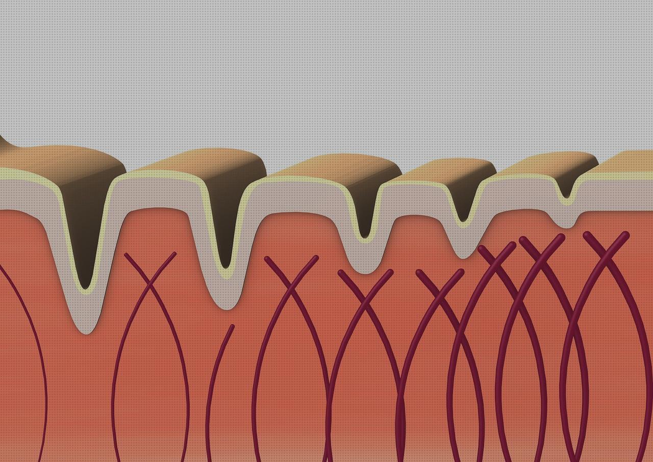 ¿Dónde poder comprar colágeno cápsulas omron m6 it comfort toma presión digital de brazo omron hem 7120 colageno marino hidrolizado?