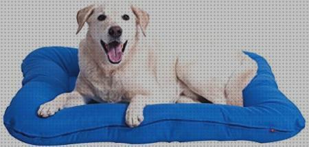 Los mejores 24 Colchones Ortopedicos Impermeables Para Perros
