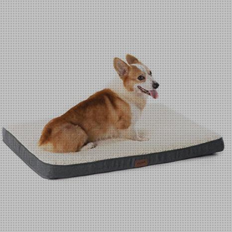 Las mejores impermeables colchones colchon ortopedico impermeable para perro