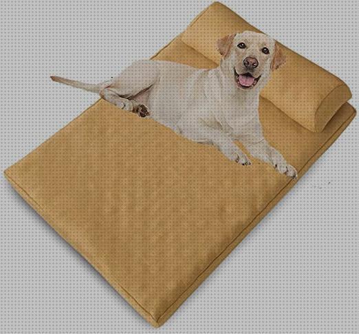 Review de colchon ortopedico impermeable para perro