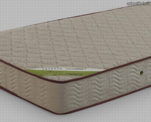 Las mejores marcas de vacio colchon ortopedico merino al enrollado al vacio