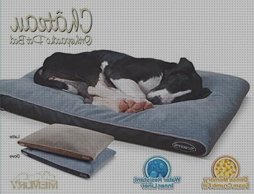 Las mejores marcas de colchon ortopedico perro grande scruffs