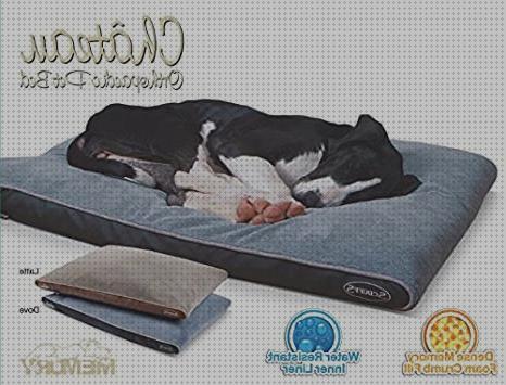 Los 13 Mejores Colchones Ortopedicos Para Perros Grandes Scruffs