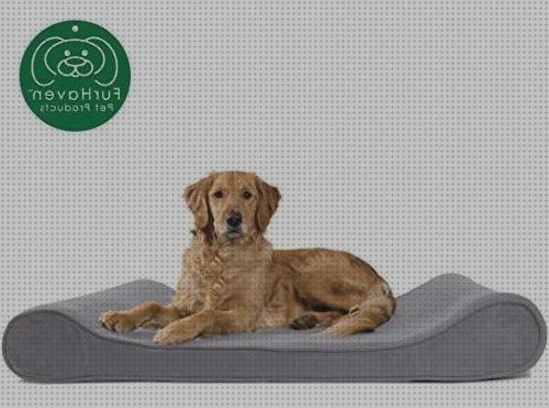 ¿Dónde poder comprar colchones colchon ortopedico perro mercado libre?