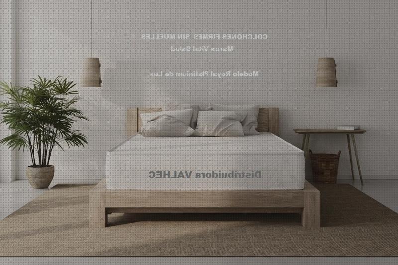 Las mejores andador sin muelles cifosis correccion ortopédica menton corset ortopédico cifosis colchon ortopédico sin muelles