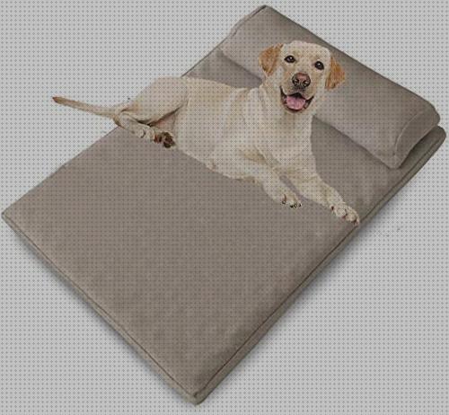 ¿Dónde poder comprar colchon ortopédico viscoelastico omron m6 it comfort toma presión digital de brazo omron hem 7120 colchon ortopédico viscoelastico perro?