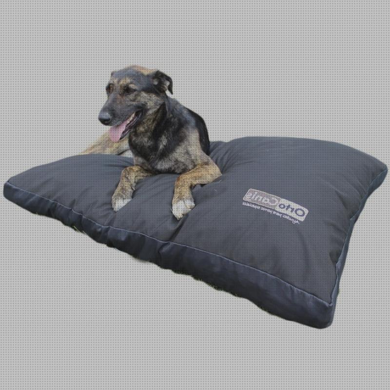Review de colchon ortopédico viscoelastico perro