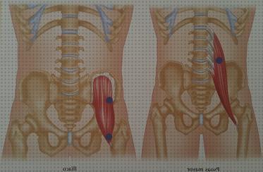 TOP 16 compex psoas para comprar