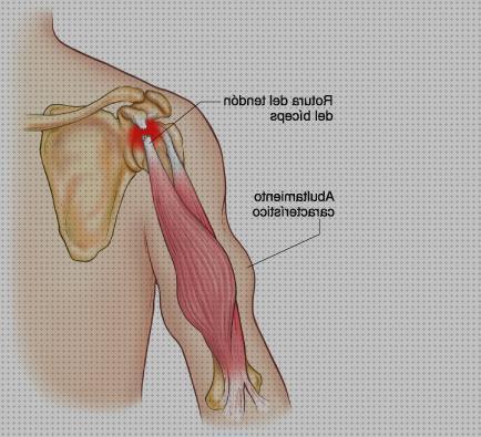 ¿Dónde poder comprar contractura cervical almohada disras orejas orejas ortopédicas contractura biceps?