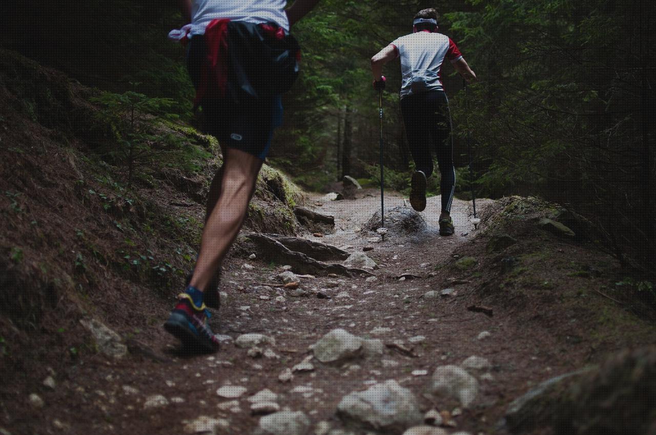 Las mejores marcas de correas correas ortopedicas