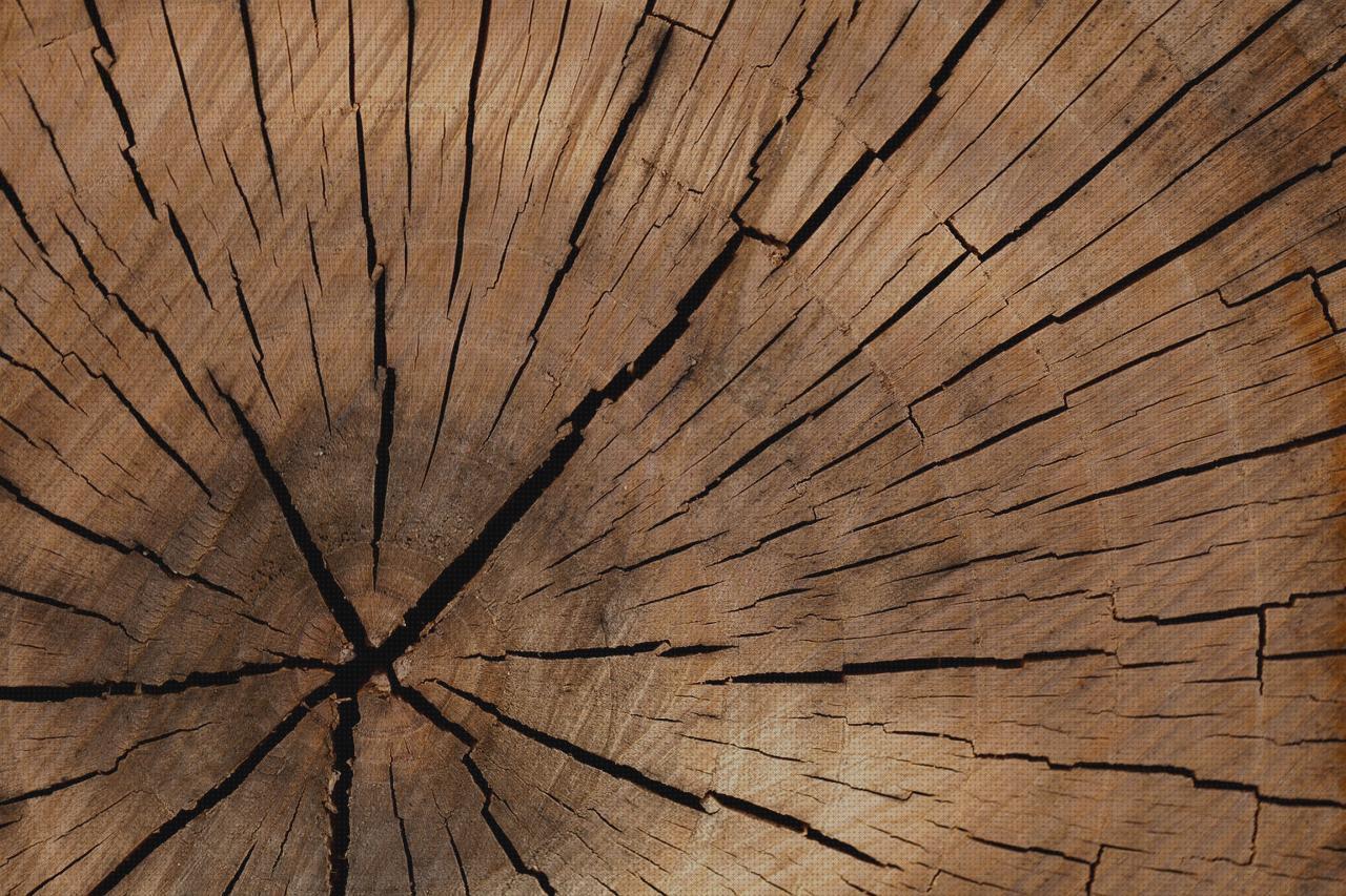 Review de las 9 mejores cortas anillos electricos para comprar