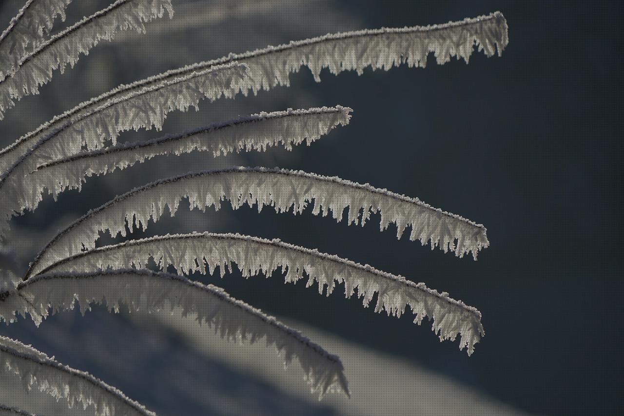 Análisis de los 19 mejores cubiertos con mangos para comprar