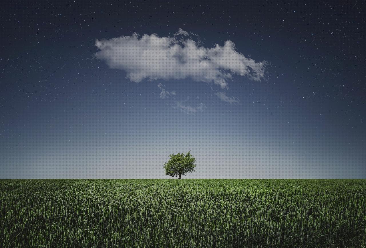 Las mejores cubiertos ortopédicos disras orejas orejas ortopédicas cubiertos estandar