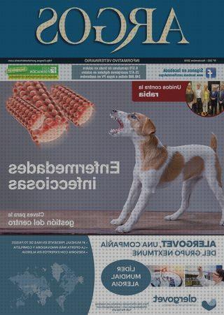 Los 3 Mejores Dolores Ortopedicos Grupos Asis Formacion