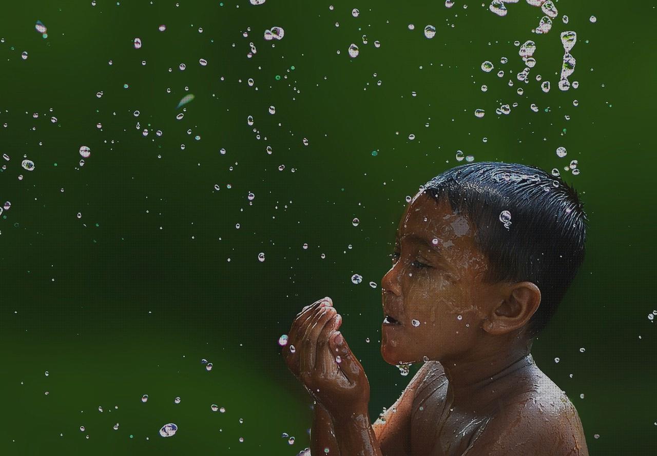Las mejores ducha ortopédica ducha casa