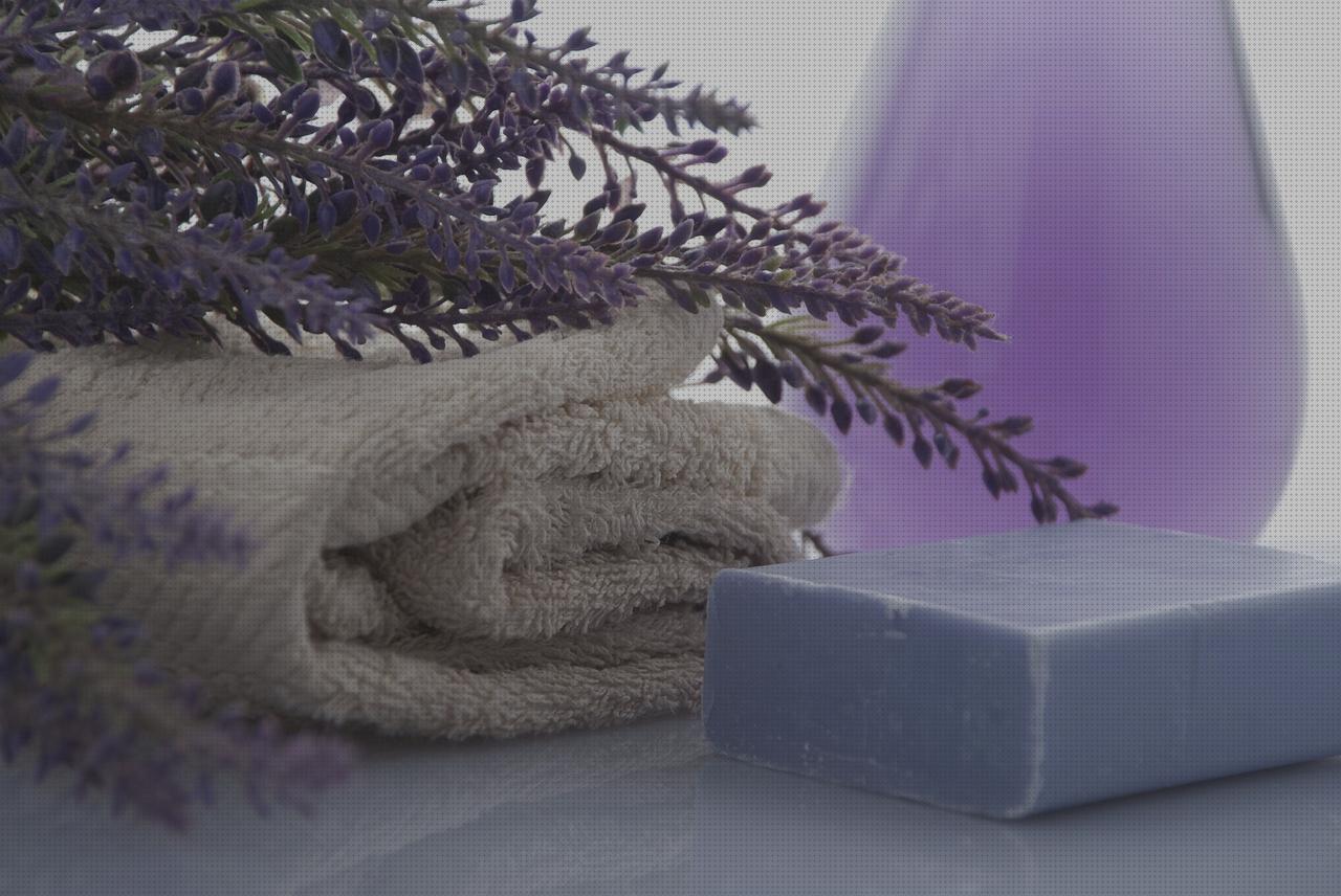 ¿Dónde poder comprar ducha ortopédica ducha higienica roca?