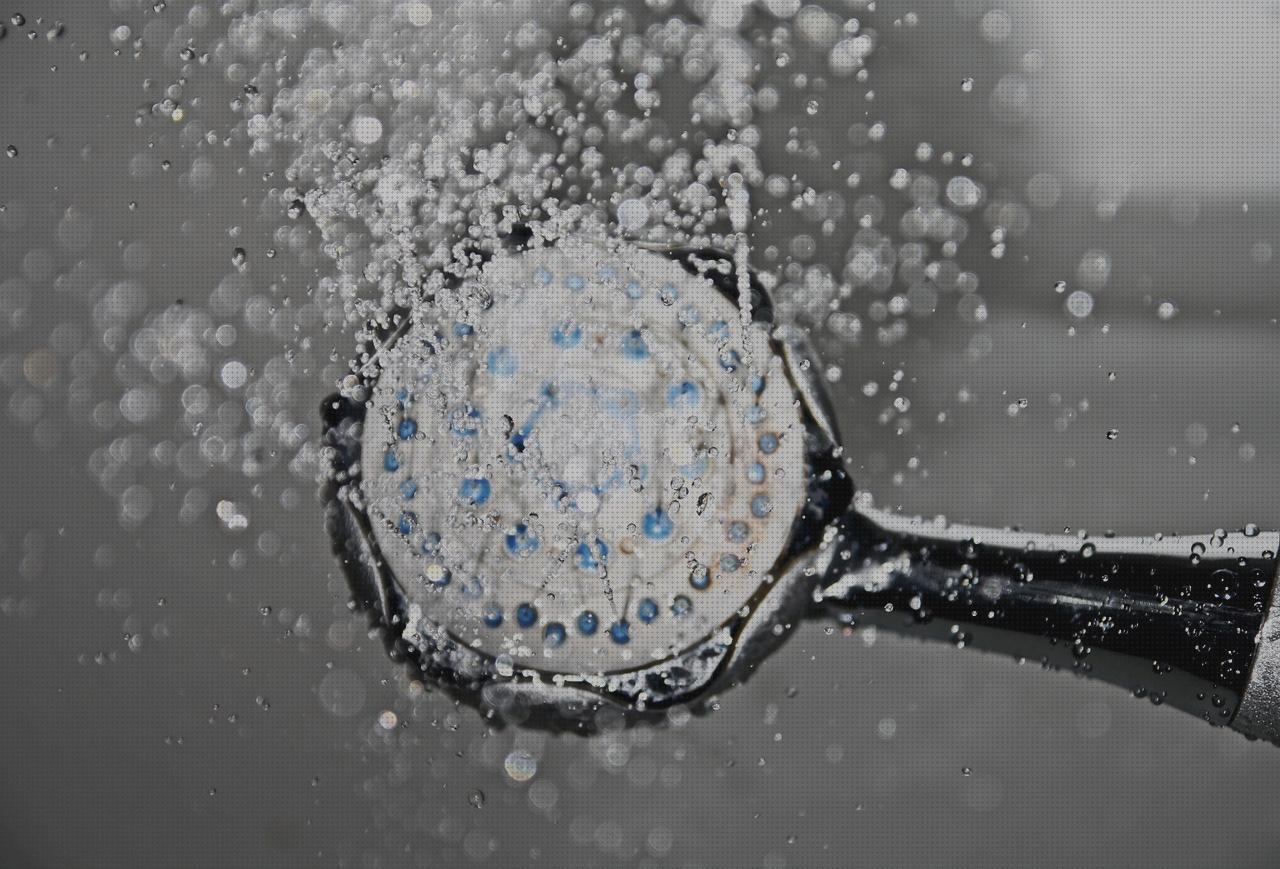 Las mejores marcas de ducha ortopédica ducha higienica roca