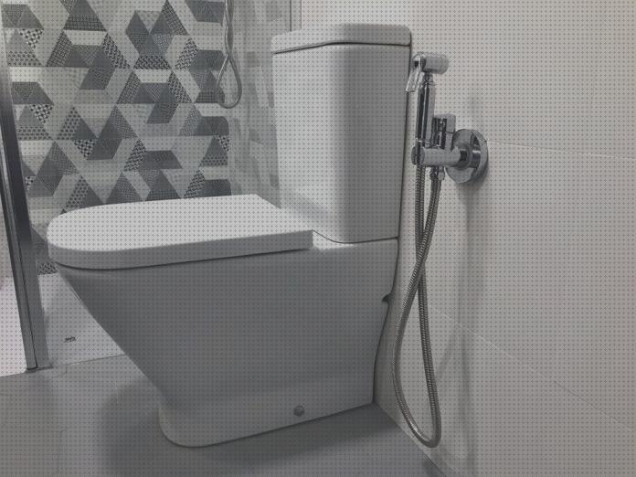 Análisis de los 15 mejores ducheta wc
